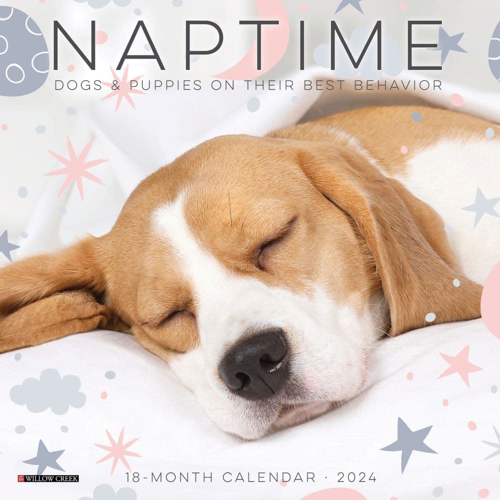 Naptime Dogs 2024 Mini Wall Calendar Main Image width=&quot;1000&quot; height=&quot;1000&quot;