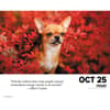 image Dogs 2024 Desk Calendar Interior Image width=&quot;1000&quot; height=&quot;1000&quot;