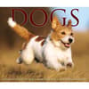 image Dogs 2024 Desk Calendar Wall Example width=&quot;1000&quot; height=&quot;1000&quot;