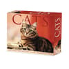 image Cats 2024 Desk Calendar Main Image width=&quot;1000&quot; height=&quot;1000&quot;