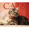 image Cats 2024 Desk Calendar Wall Example width=&quot;1000&quot; height=&quot;1000&quot;