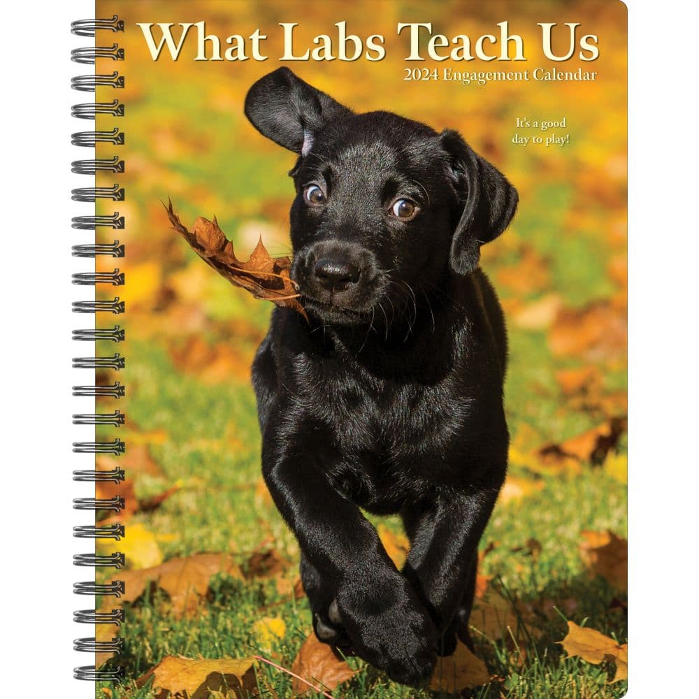 Labs What Labs Teach Us 2024 Engagement Planner Main Image width=&quot;1000&quot; height=&quot;1000&quot;