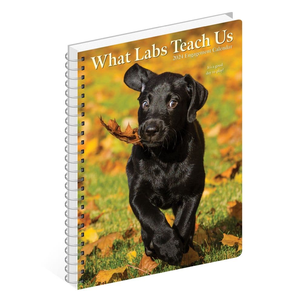 Labs What Labs Teach Us 2024 Engagement Planner Flat Lay Image width=&quot;1000&quot; height=&quot;1000&quot;