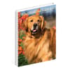 image Goldens What Goldens Teach Us 2024 Engagement Planner Flat Lay Image width=&quot;1000&quot; height=&quot;1000&quot;