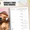image Goldens What Goldens Teach Us 2024 Engagement Planner Wall Example width=&quot;1000&quot; height=&quot;1000&quot;