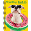 image What Dogs Teach Us 2024 Engagement Planner Main Image width=&quot;1000&quot; height=&quot;1000&quot;