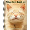 image What Cats Teach Us 2024 Engagement Planner Main Image width=&quot;1000&quot; height=&quot;1000&quot;