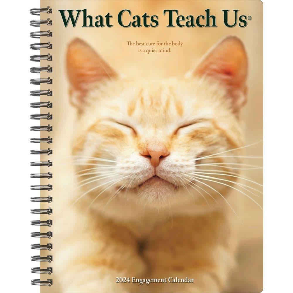 What Cats Teach Us 2024 Engagement Planner Main Image width=&quot;1000&quot; height=&quot;1000&quot;
