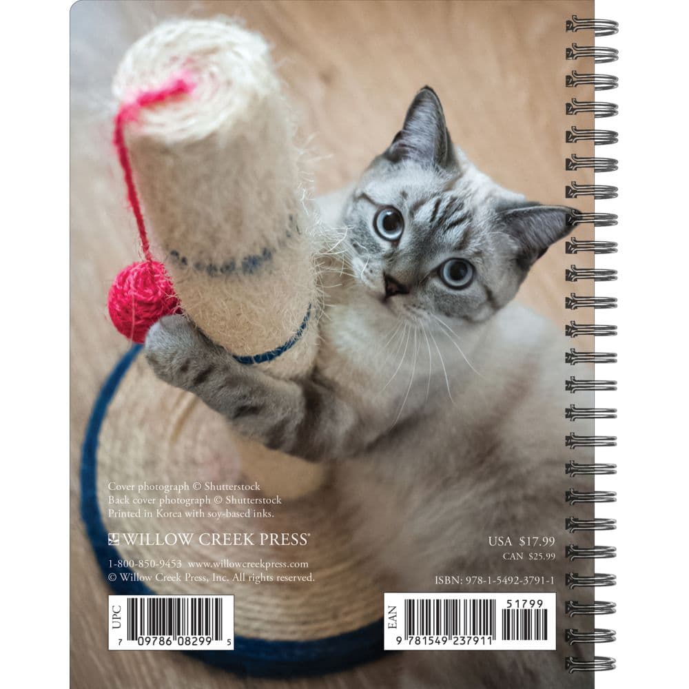 What Cats Teach Us 2024 Engagement Planner Back of Calendar width=&quot;1000&quot; height=&quot;1000&quot;