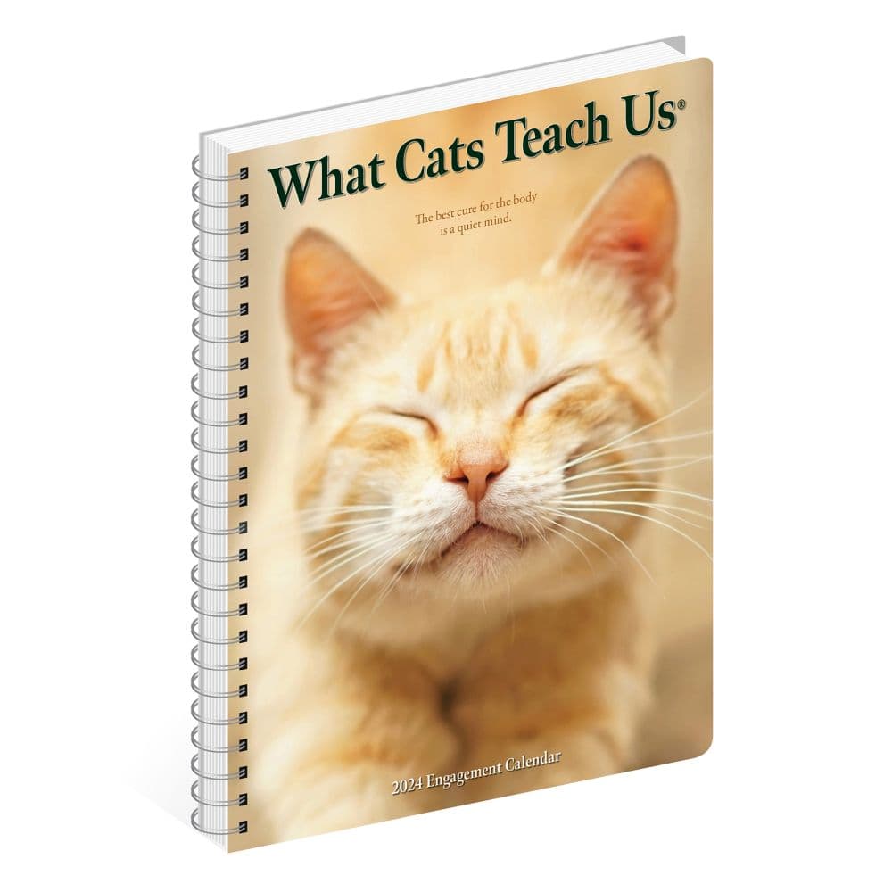 What Cats Teach Us 2024 Engagement Planner Flat Lay Image width=&quot;1000&quot; height=&quot;1000&quot;