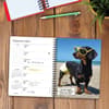 image Crusoe Celebrity Dachshund 2024 Engagement Planner Interior Image width=&quot;1000&quot; height=&quot;1000&quot;