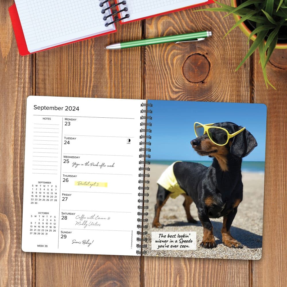 Crusoe Celebrity Dachshund 2024 Engagement Planner Interior Image width=&quot;1000&quot; height=&quot;1000&quot;