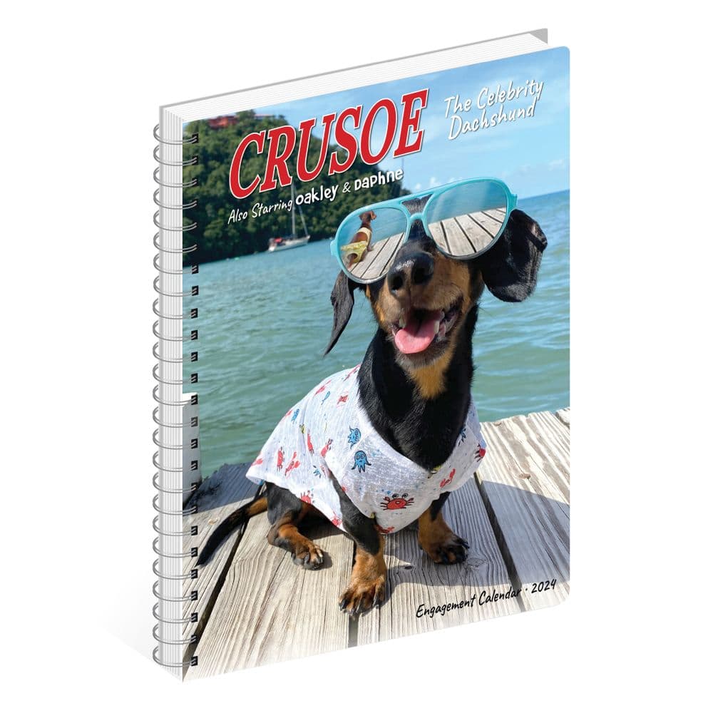 Crusoe Celebrity Dachshund 2024 Engagement Planner Flat Lay Image width=&quot;1000&quot; height=&quot;1000&quot;
