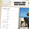 image Crusoe Celebrity Dachshund 2024 Engagement Planner Wall Example width=&quot;1000&quot; height=&quot;1000&quot;