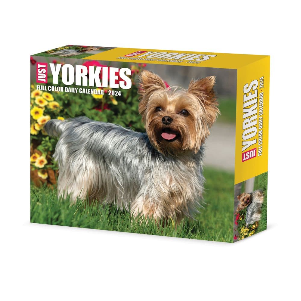 male yorkie stud        
        <figure class=