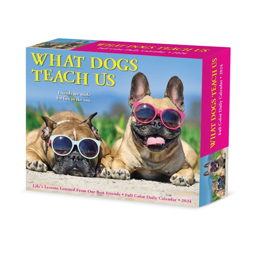 What Dogs Teach Us 2024 Desk Calendar Main Image width=&quot;1000&quot; height=&quot;1000&quot;