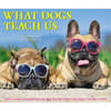 image What Dogs Teach Us 2024 Desk Calendar Wall Example width=&quot;1000&quot; height=&quot;1000&quot;