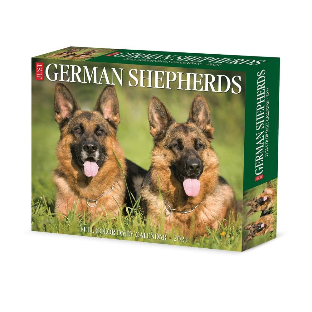 Just German Shepherds 2024 Desk Calendar Main Image width=&quot;1000&quot; height=&quot;1000&quot;
