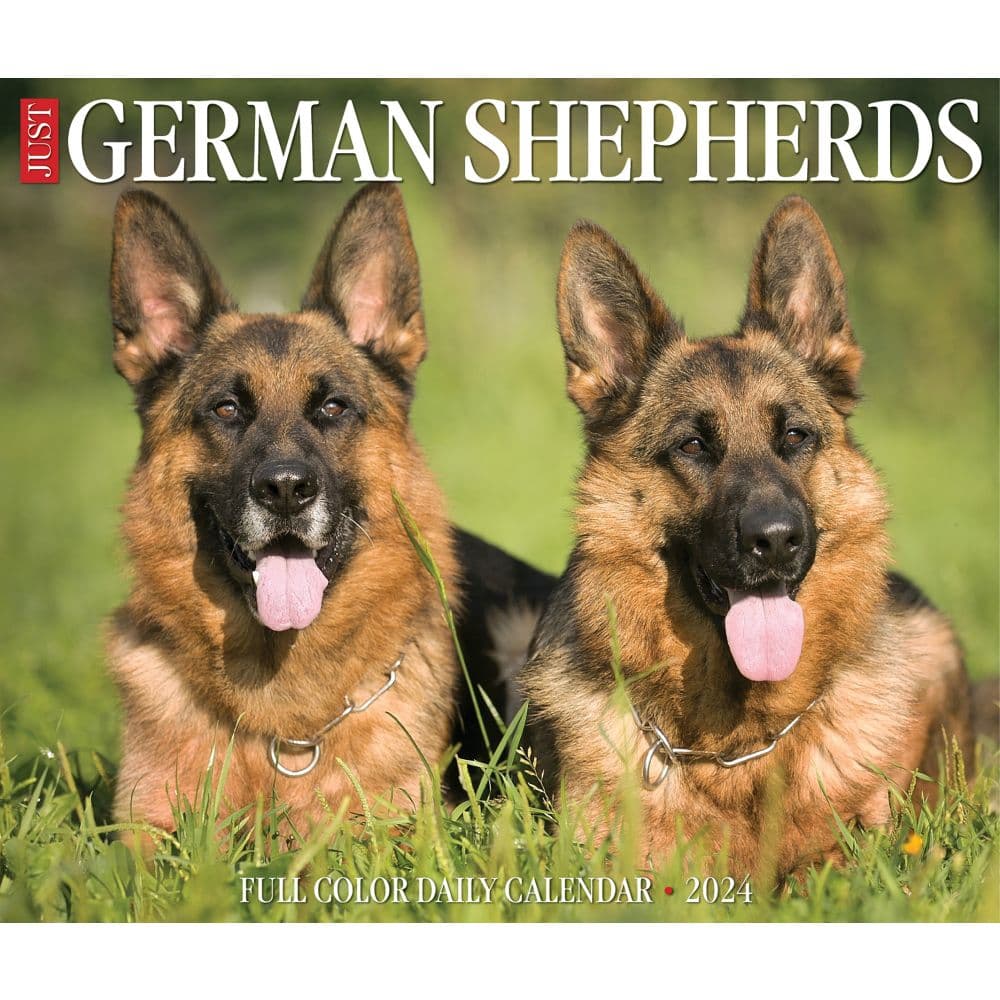 Just German Shepherds 2024 Desk Calendar