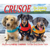 image Crusoe the Celebrity Dachshund 2024 Desk Calendar Wall Example width=&quot;1000&quot; height=&quot;1000&quot;