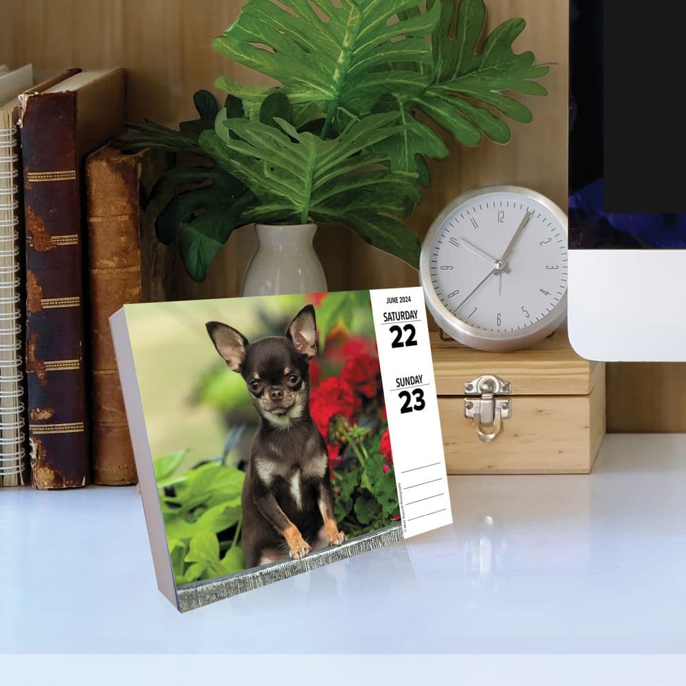 Calendario da Tavolo 2024 - 12 x 14.5 Cm DOGS OF THE WORLD