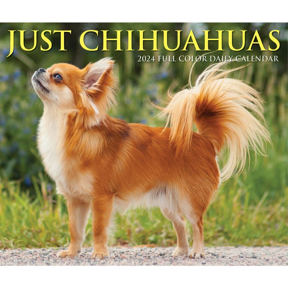 Chihuahuas Just 2024 Desk Calendar Wall Example width=&quot;1000&quot; height=&quot;1000&quot;