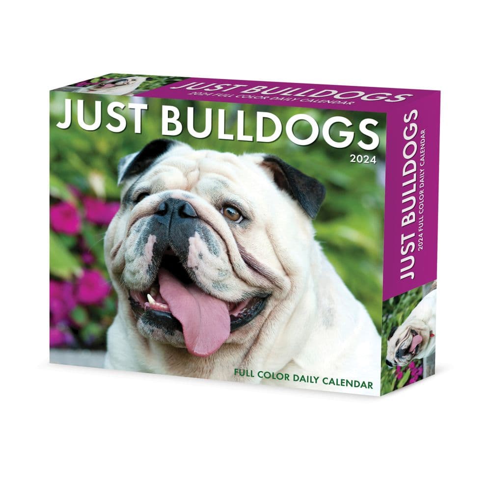 Just Bulldogs 2024 Desk Calendar