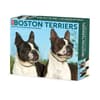 image Boston Terriers Just 2024 Desk Calendar Main Image width=&quot;1000&quot; height=&quot;1000&quot;