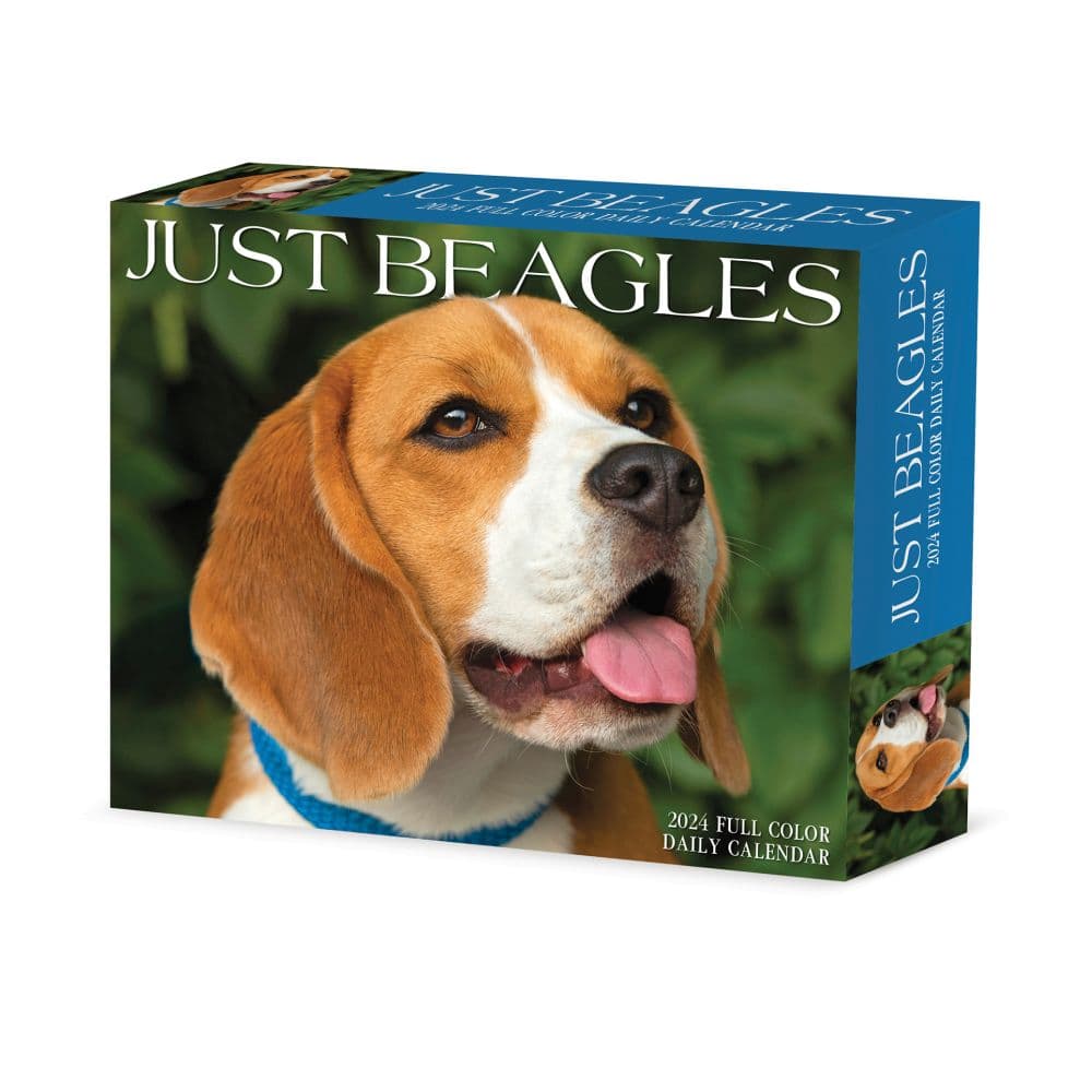 Beagles Just 2024 Desk Calendar Main Image width=&quot;1000&quot; height=&quot;1000&quot;
