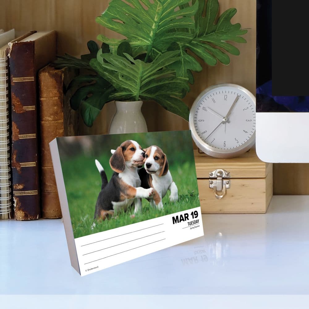 Beagles Just 2024 Desk Calendar Flat Lay Image width=&quot;1000&quot; height=&quot;1000&quot;