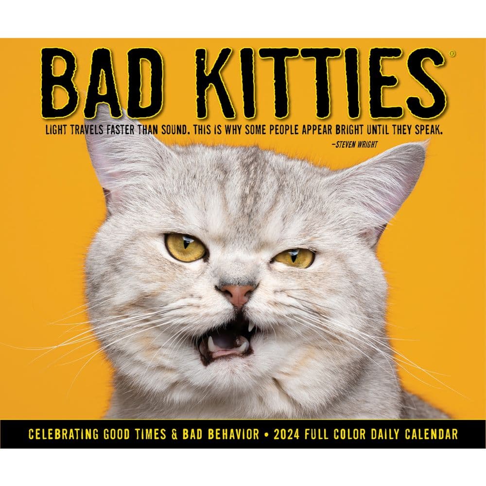 Bad Kitties 2025 Desk Calendar