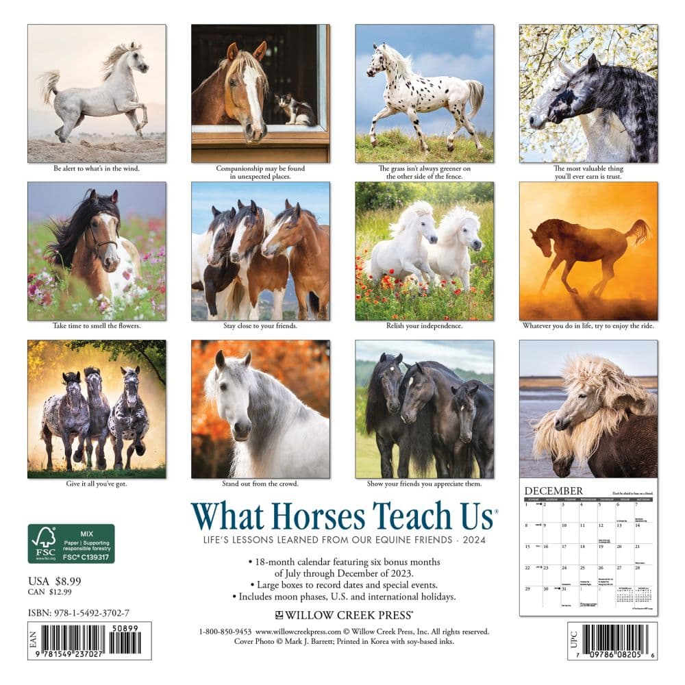 Horses What Horses Teach Us 2024 Mini Wall Calendar Back of Calendar width=&quot;1000&quot; height=&quot;1000&quot;