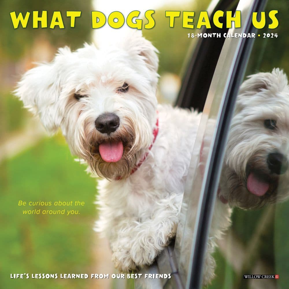What Dogs Teach Us 2024 Mini Wall Calendar Main Image width=&quot;1000&quot; height=&quot;1000&quot;
