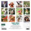 image What Dogs Teach Us 2024 Mini Wall Calendar Back of Calendar width=&quot;1000&quot; height=&quot;1000&quot;