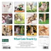 image Cats What Cats Teach Us 2024 Mini Wall Calendar Back of Calendar width=&quot;1000&quot; height=&quot;1000&quot;