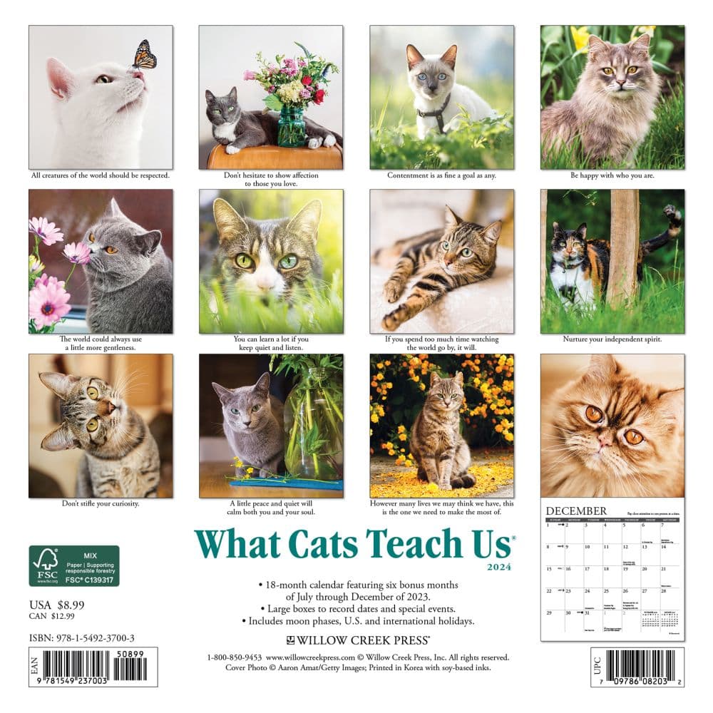 Cats What Cats Teach Us 2024 Mini Wall Calendar Back of Calendar width=&quot;1000&quot; height=&quot;1000&quot;