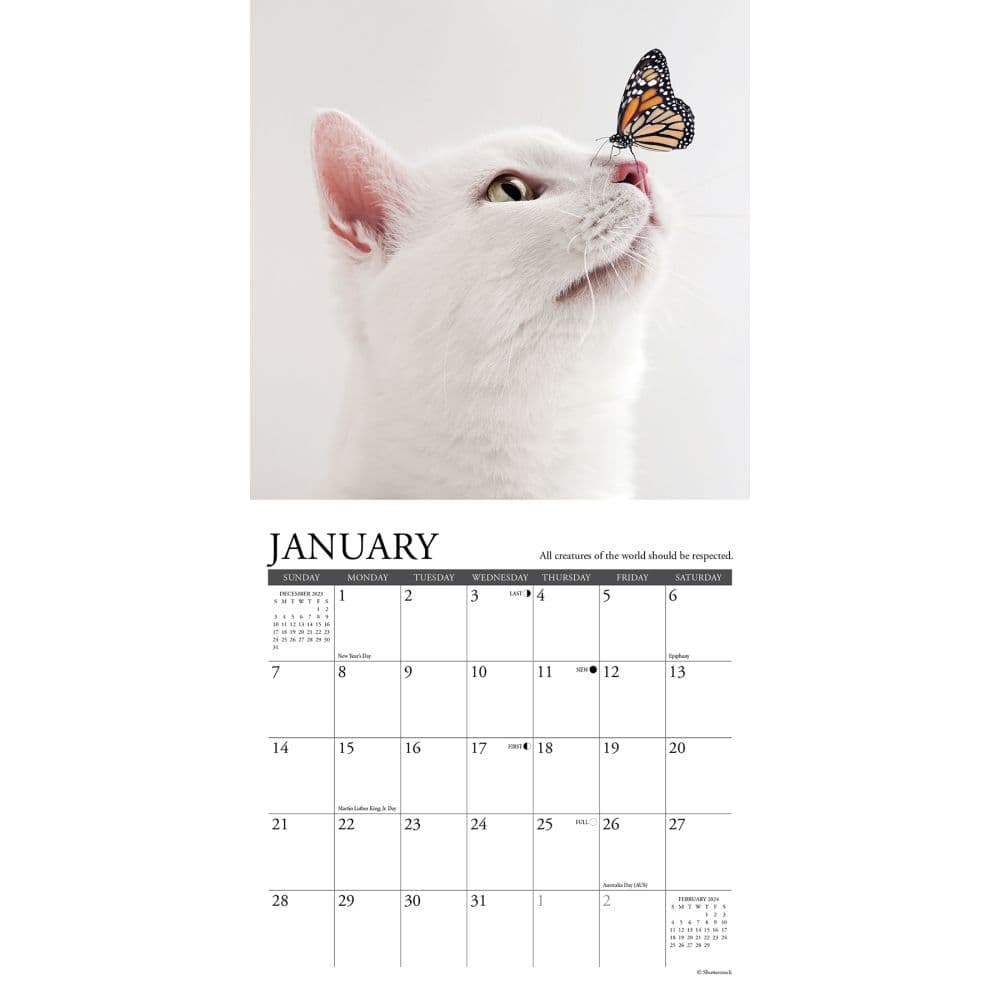 Cats What Cats Teach Us 2024 Mini Wall Calendar