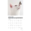 image Cats What Cats Teach Us 2024 Mini Wall Calendar Interior Image width=&quot;1000&quot; height=&quot;1000&quot;