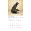 image Sloth Yoga 2024 Mini Wall Calendar Interior Image width=&quot;1000&quot; height=&quot;1000&quot;