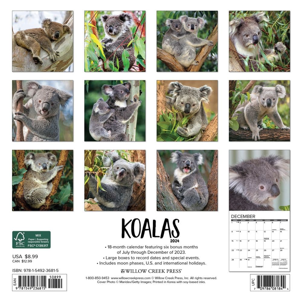 Koala Bears 2024 Mini Wall Calendar Back of Calendar width=&quot;1000&quot; height=&quot;1000&quot;