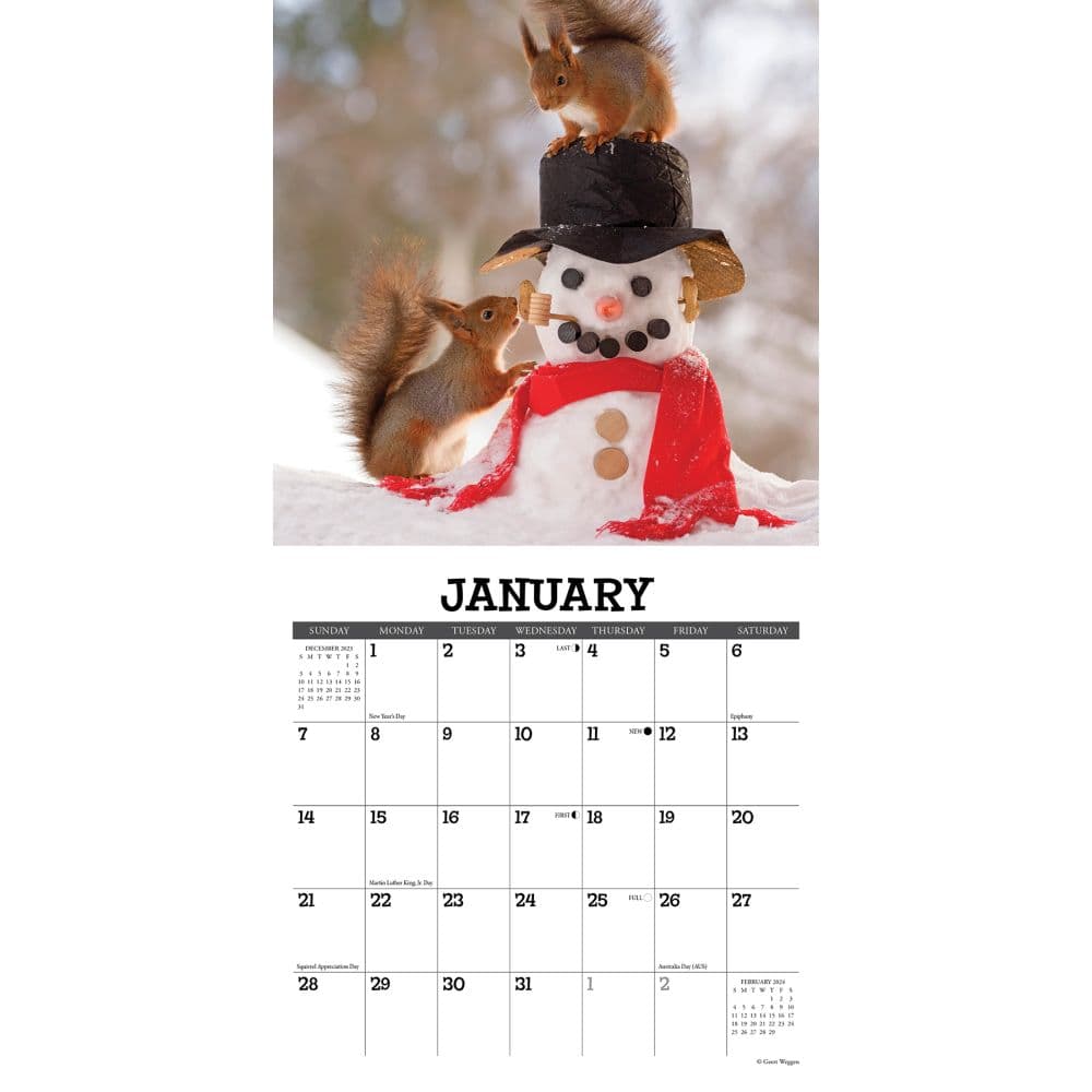 Gettin Squirrelly 2024 Mini Wall Calendar Interior Image width=&quot;1000&quot; height=&quot;1000&quot;