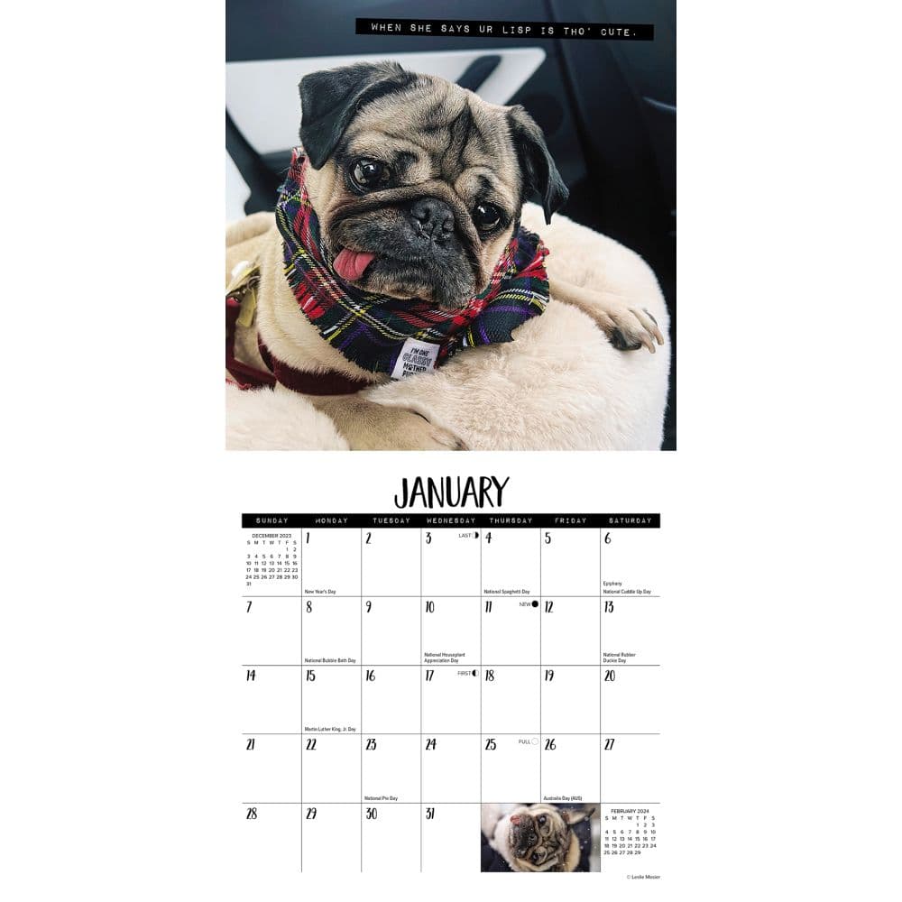 Doug the Pug 2024 Mini Wall Calendar - Calendars.com