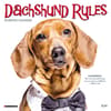 image Dachshund Rules 2024 Mini Wall Calendar Main Image width=&quot;1000&quot; height=&quot;1000&quot;
