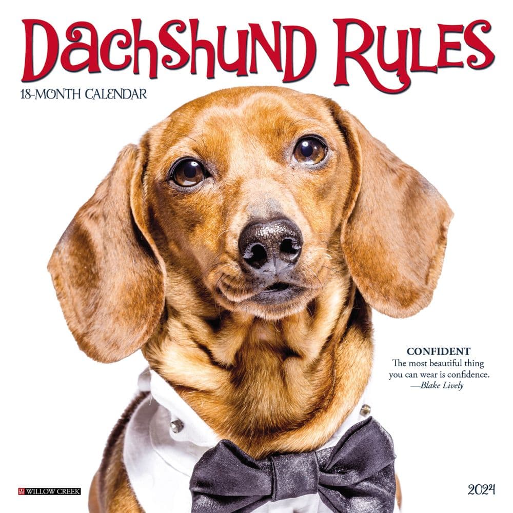Dachshund Rules 2024 Mini Wall Calendar Main Image width=&quot;1000&quot; height=&quot;1000&quot;