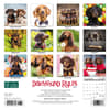 image Dachshund Rules 2024 Mini Wall Calendar Back of Calendar width=&quot;1000&quot; height=&quot;1000&quot;