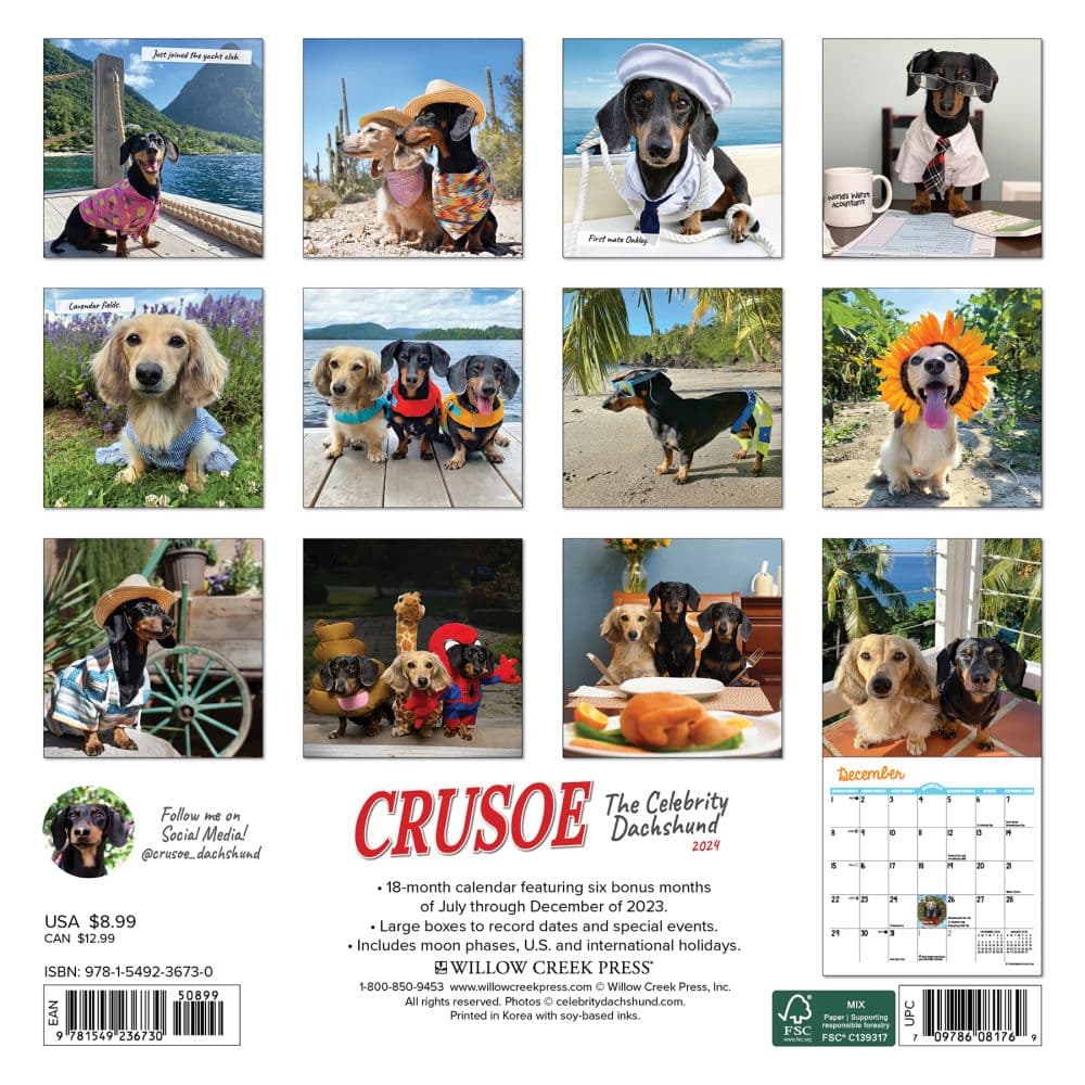 Crusoe the Celebrity Dachshund 2024 Mini Wall Calendar