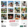 image Crusoe the Celebrity Dachshund 2024 Mini Wall Calendar Back of Calendar width=&quot;1000&quot; height=&quot;1000&quot;