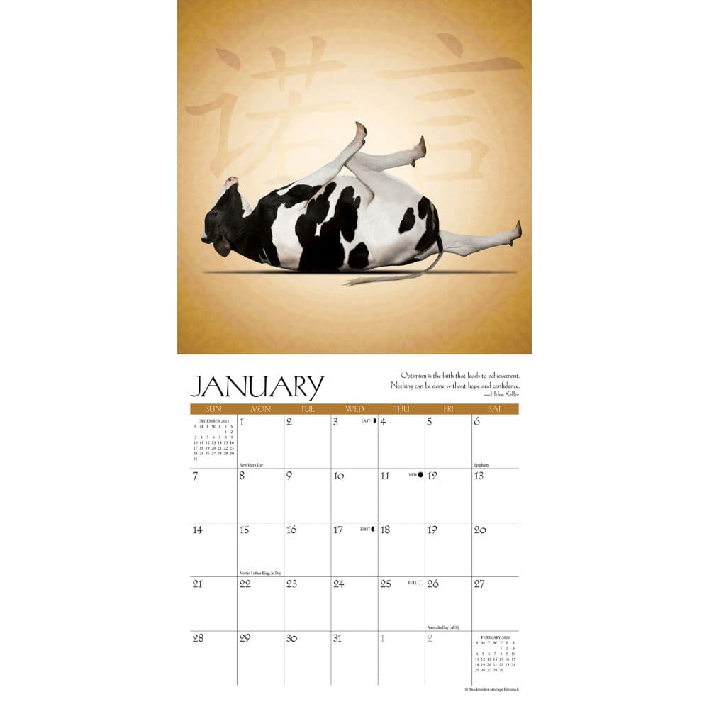 Cow Yoga 2024 Mini Wall Calendar Interior Image width=&quot;1000&quot; height=&quot;1000&quot;