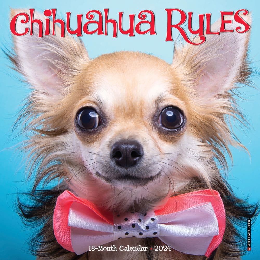 Chihuahua Rules 2024 Mini Wall Calendar Main Image width=&quot;1000&quot; height=&quot;1000&quot;