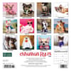 image Chihuahua Rules 2024 Mini Wall Calendar Back of Calendar width=&quot;1000&quot; height=&quot;1000&quot;